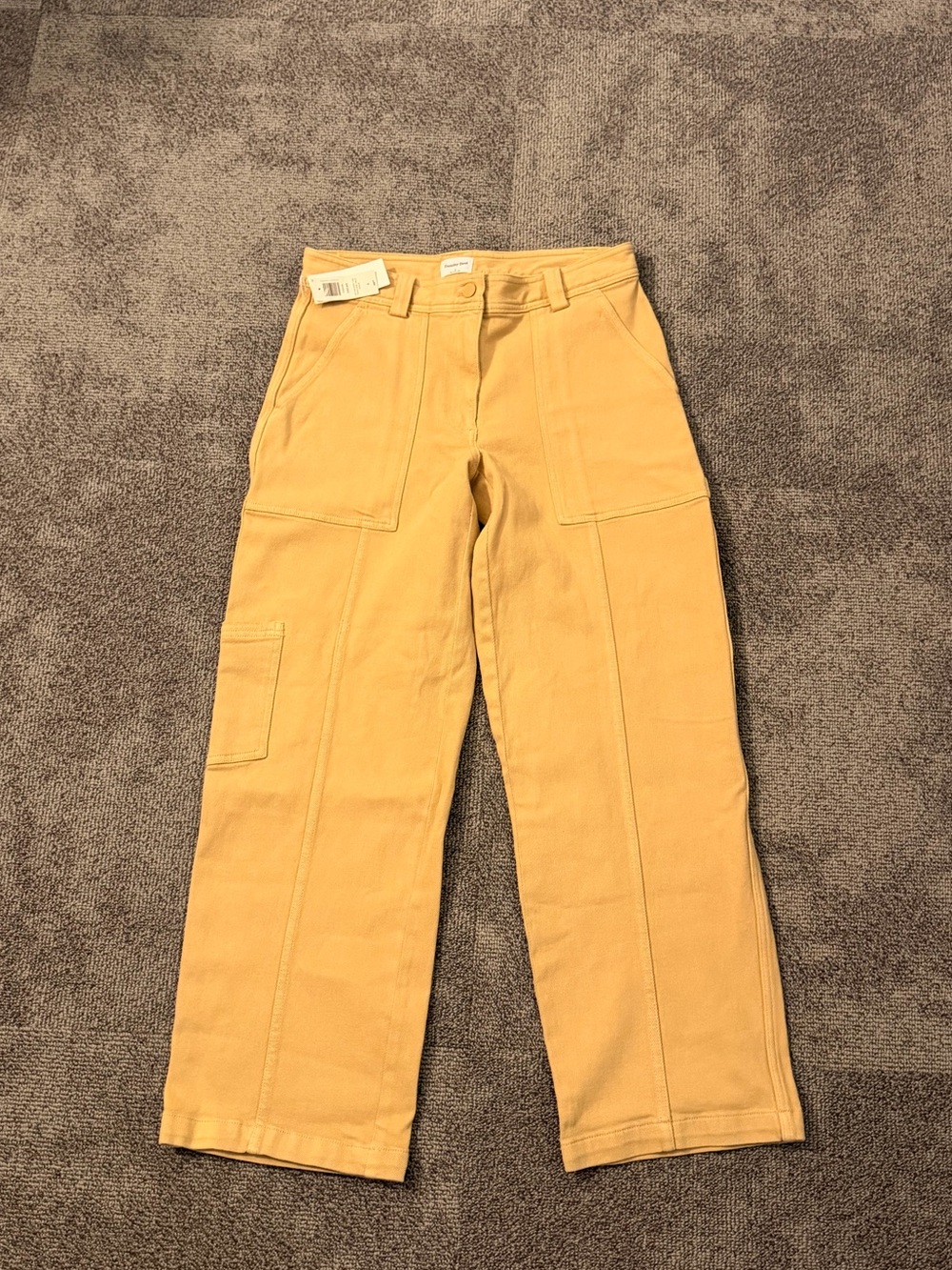 BNWT Aritzia Sunday Best Oscar Pants